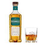 W43426-Vinoteca-Whisky-Bushmills-Malt-10Yo-750ml-003.jpg