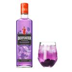 G14137-Vinoteca-Ginebra-Beefeater-Blackberry-700Ml-003.jpg