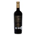 VMT36680-Vinoteca-Tto-Cielo-Galileo-750ML-002.jpg