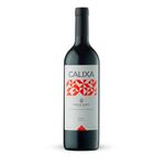 VMT36522-Vinoteca-Vino-Tinto-Calixa-Syrah-750ml-001.jpg