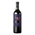 VMT36636-Vinoteca-Tto-Valle-De-Tintos-Cabernet-Sauvignon-750Ml-001.jpg