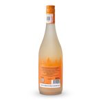 VEB31120-Vinoteca-Bco-Bornos-Frizante-Verdejo-750Ml-002.jpg