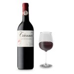VOT37253-Vinoteca-Vino-Tinto-Triennes-Les-Aureliens-Rouge-750-ml-003.jpg
