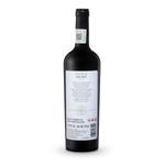 VMT36672-Vinoteca-TTO-SOPHIE-NEBBIOLO-750ML-002.jpg