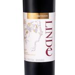 VMT36578-TTO-DON-LEO-LINDE-CAB-SAUV-750ML-003.jpg