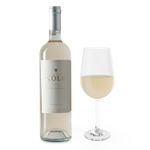 VMB36256-Vinoteca-Vino-Blanco-Xolo-Sauvignon-Blanc-2022-750-Ml-003.jpg