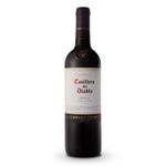 VHT33066-Vinoteca-Tto-Casillero-Del-Diablo-Merlot-750Ml-001.jpg