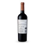 VHT33472-Vinoteca-TTO-ERRAZURIZ-ACONCAGUA-CARMENERE-750ML-002.jpg