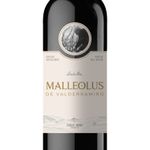VET31523-Vinoteca-Vino-Tinto-Emilio-Moro-Mall-Valderramiro-750-ml-002.jpg