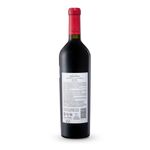 VAT29076-Vinoteca-TTO-N-CORREAS-STRUCTURA-750ML-002.jpg
