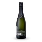 CH8316-Vinoteca-ESPUM-CAVA-CODORNIU-RONDEL-BRUT-750ML-002.jpg