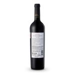 VAT29025-TTO-N-CORREAS-ALEGORIA-GR-RVA-MALBEC-750ML-002.jpg