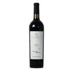VMT36751-Vinoteca-Vino-tinto-Camino-Corazon-Malbec-750-ml-001.jpg
