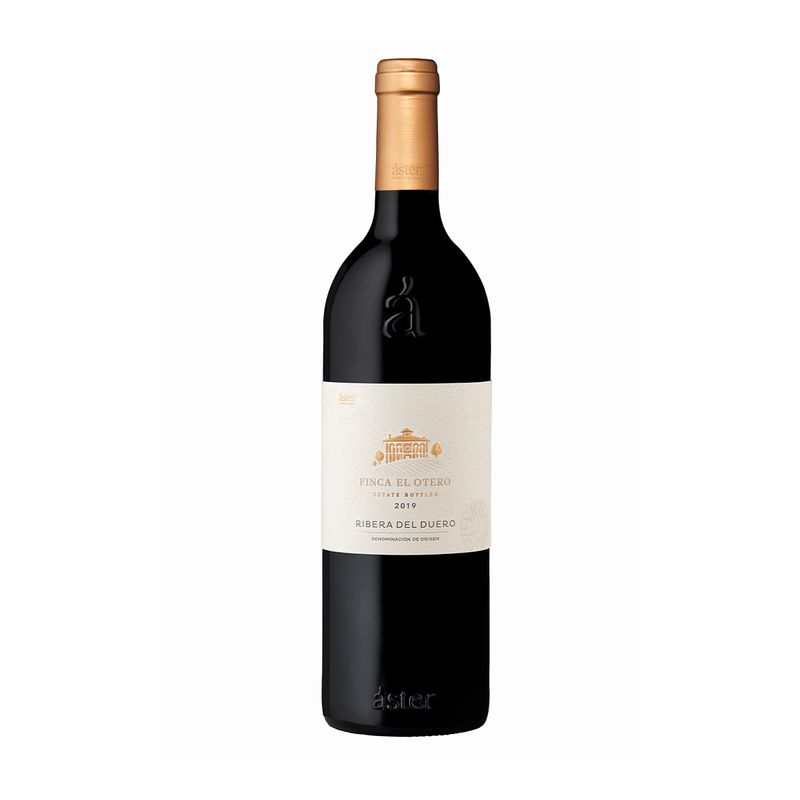 VET32746-Vinoteca-Vino-Tinto-Aster-Finca-El-Otero-750-ml-001.jpg