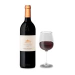 VET32746-Vinoteca-Vino-Tinto-Aster-Finca-El-Otero-750-ml-003.jpg