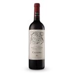 VAT29827-Vinoteca-Tto-Catena-Apellation-Cab-Franc-San-Carlos-750Ml-001.jpg