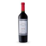 VAT29076-Vinoteca-TTO-N-CORREAS-STRUCTURA-750ML-004.jpg