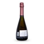 CH8189-Vinoteca-ESPUM-NAVARRO-CORREAS-BRUT-MALBEC-ROSE-750ML-002.jpg