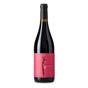 Vino Tinto Falcata Casa Gran 2020 750 ml