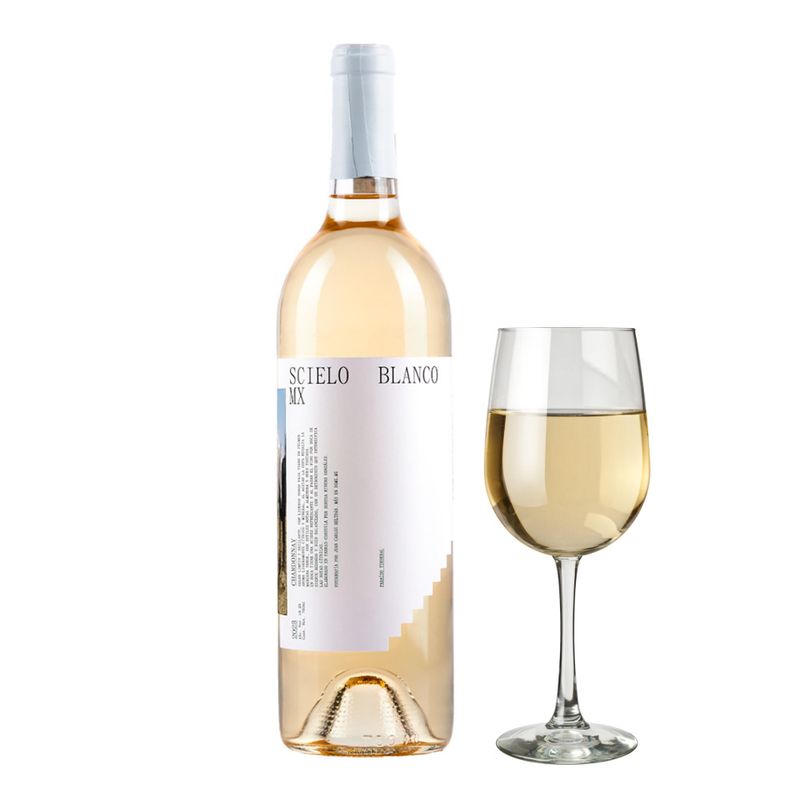 VMB36198-Vinoteca-Vino-Blanco-Scielo-Chardonnay-750-ml-003.jpg
