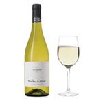 VBB30315-Vinoteca-vino-blanco-moulin-de-gassac-viogner-750ml-1-003.jpg