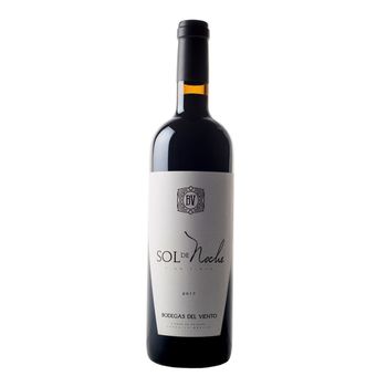 Vino Tinto Viento Sol De Noche 750 ml