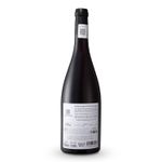 VMT36601-Vinoteca-Tto-Viento-Pinot-Noir-750Ml-002.jpg