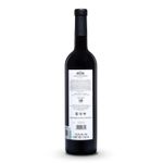 VMT36127-Vinoteca-Tto-Madero-Shiraz-750Ml-002.jpg