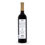 VMT36146-Vinoteca-Tto-Madero-Casa-Grande-Gran-Rva-Shiraz-750Ml-002.jpg