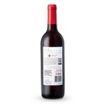 VZT42017-Vinoteca-Tto-Avion-De-Juguette-750Ml-002.jpg
