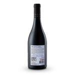 VZT42020-Vinoteca-TTO-JUGUETTE-CABERNET-SHIRAZ-750ML-002.jpg