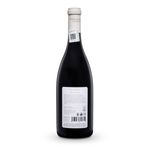 VMT36383-Vinoteca-TTO-LA-CARRODILLA-SHIRAZ-750ML-002.jpg