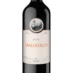 VET31522-Vinoteca-Vino-Tinto-Emilio-Moro-Malleolus-Magnum-1.5-lt-002.jpg