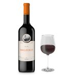 VET31522-Vinoteca-Vino-Tinto-Emilio-Moro-Malleolus-Magnum-1.5-lt-003.jpg