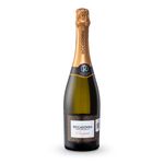CH8522-Vinoteca-ESPUM-PROSSECO-RICCADONNA-750ML-001.jpg